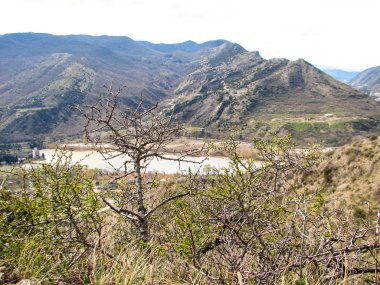 Açık mavi gökyüzü altında sarı çim kaplı tepe