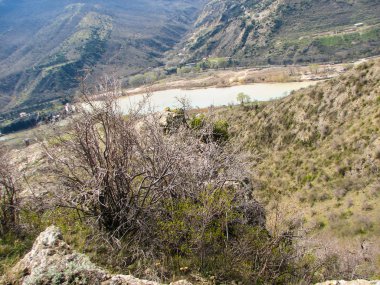 Açık mavi gökyüzü altında sarı çim kaplı tepe