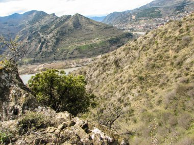 Açık mavi gökyüzü altında sarı çim kaplı tepe