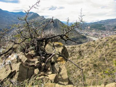Açık mavi gökyüzü altında sarı çim kaplı tepe