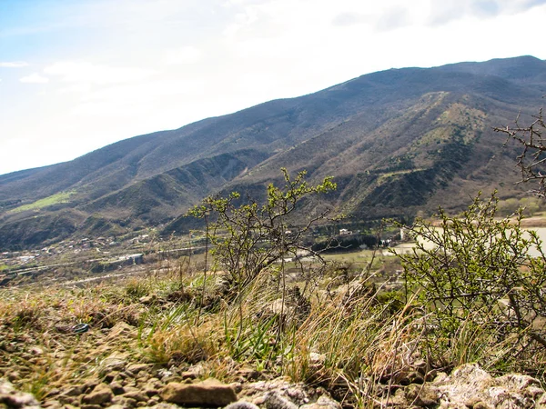 Colina cubierta de hierba amarilla bajo cielo azul claro —  Fotos de Stock