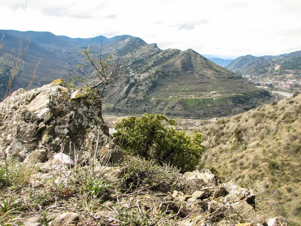 Açık mavi gökyüzü altında sarı çim kaplı tepe