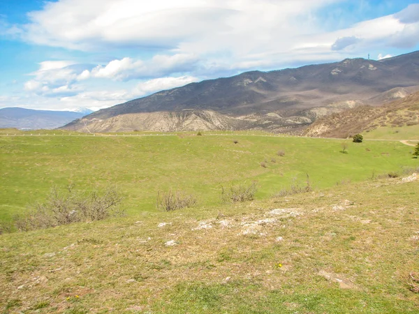 Açık mavi gökyüzü altında sarı çim kaplı tepe — Stok fotoğraf