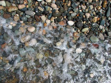 taşlar, karaya sahilde yıkanmış.