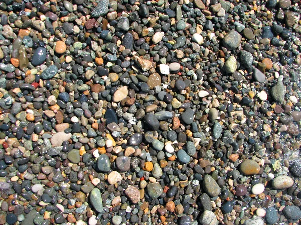 Stones washed ashore on the beach. — Stock Photo, Image