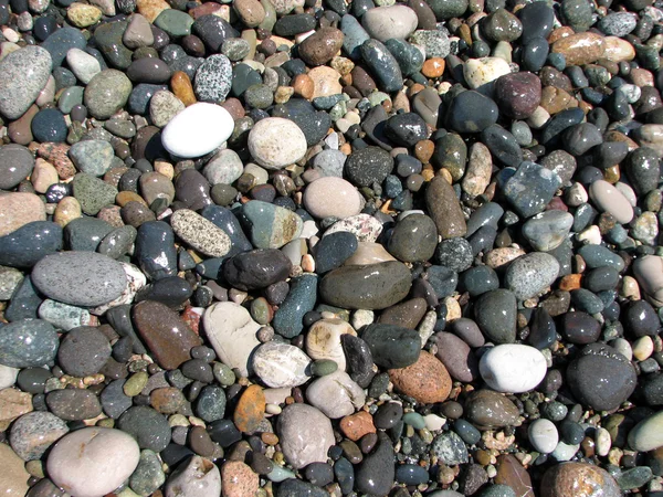 Pedras lavadas em terra na praia . — Fotografia de Stock