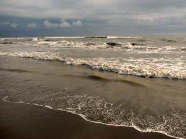 Siyah kum plajı güzel büyük dalga