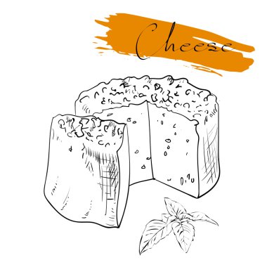 Lezzetli taze peynir variet peynir