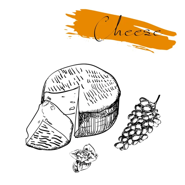 Délicieux fromage frais de variété — Image vectorielle