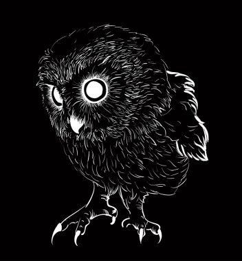 Baykuş el çekilmiş, siyah ve beyaz