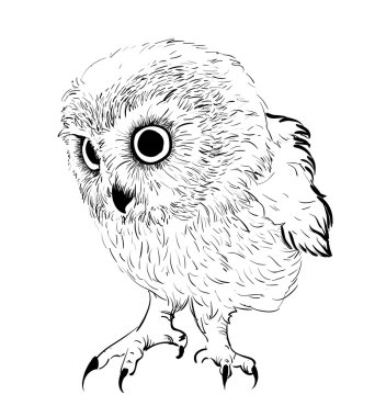 Baykuş el çekilmiş, siyah ve beyaz