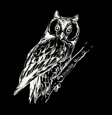 Baykuş el çekilmiş, siyah ve beyaz