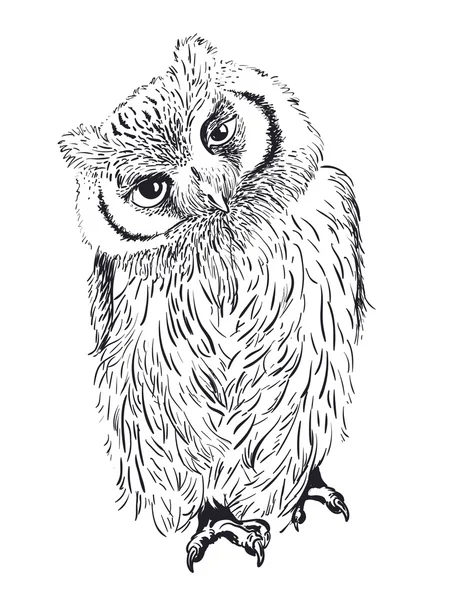 Hibou dessiné à la main, noir et blanc — Image vectorielle