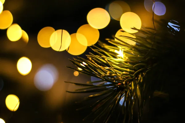 Albero Natale Con Luci Sfocate Oro Silhouette Ramo Abete Rosso — Foto Stock