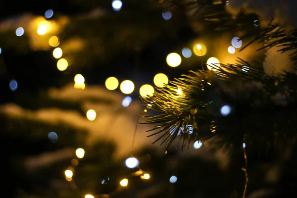 Árvore Natal Com Luzes Douradas Desfocadas Silhueta Ramo Abeto Fundo — Fotografia de Stock