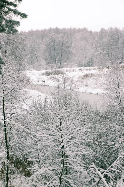 Paisaje Invernal Los Árboles Helados Bosque Nevado Mañana Soleada Naturaleza —  Fotos de Stock