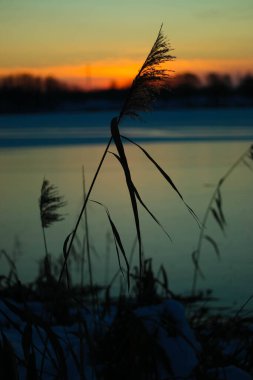 Donmuş gölde gün batımı. Sazlıklar ve ağaçlar, kıyılarda kar.