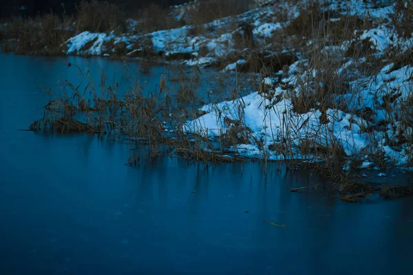 Trzciny Rzece Zamrożone Lodzie Przezroczysty Niebieski Lód Zachód Słońca Liście — Zdjęcie stockowe