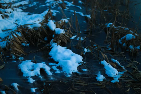 Rákosí Řece Zamrzlé Ledu Transparentní Modrý Led Čas Západu Slunce — Stock fotografie