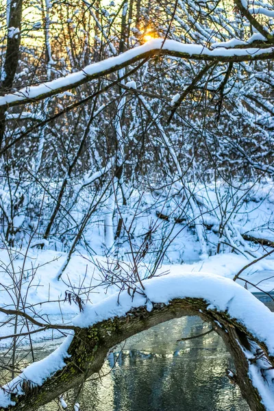 Śnieg Pada Rzece Śnieżnymi Brzegami Gałęziami Drzew Nad Wodą Słoneczny — Zdjęcie stockowe