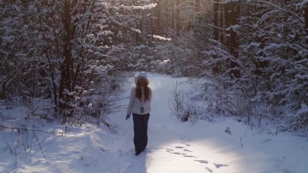 雪深い冬の日に雪の中を真の実在の人物である面白いかわいい若い女性の肖像画が歩く. — ストック動画