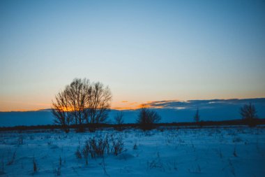Güzel kış manzarası, bulutlu gün batımı, uzaktaki orman, kardaki tarla ve ağaçlar, dondurucu güneşli bir akşam, Ukrayna