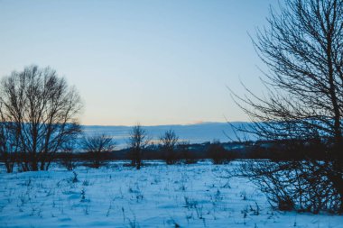 Güzel kış manzarası, bulutlu gün batımı, uzaktaki orman, kardaki tarla ve ağaçlar, dondurucu güneşli bir akşam, Ukrayna