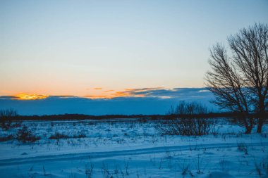 Güzel kış manzarası, bulutlu gün batımı, uzaktaki orman, kardaki tarla ve ağaçlar, dondurucu güneşli bir akşam, Ukrayna