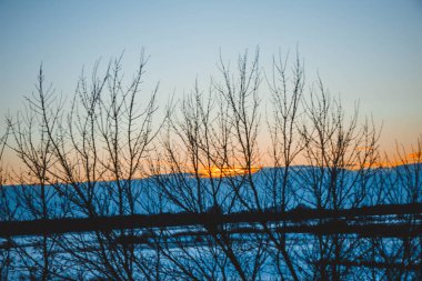 Güzel kış manzarası, bulutlu gün batımı, uzaktaki orman, kardaki tarla ve ağaçlar, dondurucu güneşli bir akşam, Ukrayna