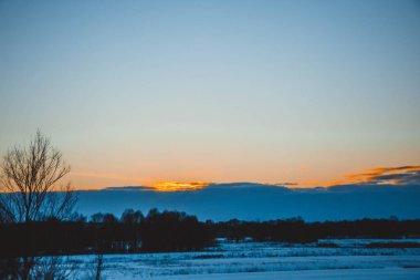 Güzel kış manzarası, bulutlu gün batımı, uzaktaki orman, kardaki tarla ve ağaçlar, dondurucu güneşli bir akşam, Ukrayna