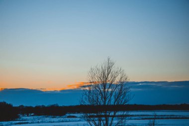 Güzel kış manzarası, bulutlu gün batımı, uzaktaki orman, kardaki tarla ve ağaçlar, dondurucu güneşli bir akşam, Ukrayna