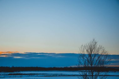 Güzel kış manzarası, bulutlu gün batımı, uzaktaki orman, kardaki tarla ve ağaçlar, dondurucu güneşli bir akşam, Ukrayna