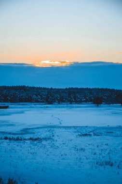 Güzel kış manzarası, bulutlu gün batımı, uzaktaki orman, kardaki tarla ve ağaçlar, dondurucu güneşli bir akşam, Ukrayna