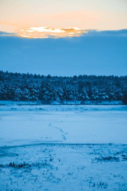 Güzel kış manzarası, bulutlu gün batımı, uzaktaki orman, kardaki tarla ve ağaçlar, dondurucu güneşli bir akşam, Ukrayna