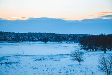 Güzel kış manzarası, bulutlu gün batımı, uzaktaki orman, kardaki tarla ve ağaçlar, dondurucu güneşli bir akşam, Ukrayna