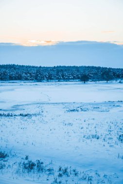Güzel kış manzarası, bulutlu gün batımı, uzaktaki orman, kardaki tarla ve ağaçlar, dondurucu güneşli bir akşam, Ukrayna