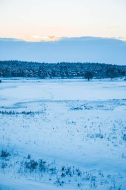 Güzel kış manzarası, bulutlu gün batımı, uzaktaki orman, kardaki tarla ve ağaçlar, dondurucu güneşli bir akşam, Ukrayna