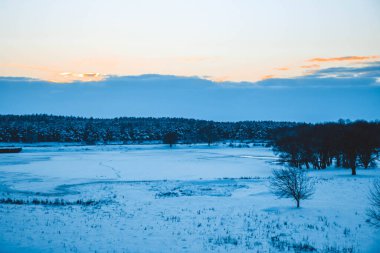 Güzel kış manzarası, bulutlu gün batımı, uzaktaki orman, kardaki tarla ve ağaçlar, dondurucu güneşli bir akşam, Ukrayna