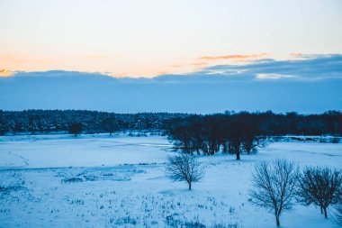 Güzel kış manzarası, bulutlu gün batımı, uzaktaki orman, kardaki tarla ve ağaçlar, dondurucu güneşli bir akşam, Ukrayna