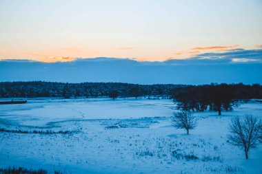 Güzel kış manzarası, bulutlu gün batımı, uzaktaki orman, kardaki tarla ve ağaçlar, dondurucu güneşli bir akşam, Ukrayna