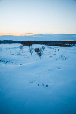 Güzel kış manzarası, bulutlu gün batımı, uzaktaki orman, kardaki tarla ve ağaçlar, dondurucu güneşli bir akşam, Ukrayna