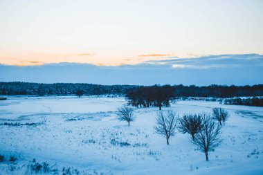 Güzel kış manzarası, bulutlu gün batımı, uzaktaki orman, kardaki tarla ve ağaçlar, dondurucu güneşli bir akşam, Ukrayna