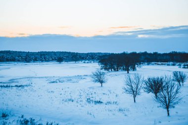 Güzel kış manzarası, bulutlu gün batımı, uzaktaki orman, kardaki tarla ve ağaçlar, dondurucu güneşli bir akşam, Ukrayna