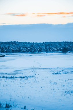 Güzel kış manzarası, bulutlu gün batımı, uzaktaki orman, kardaki tarla ve ağaçlar, dondurucu güneşli bir akşam, Ukrayna