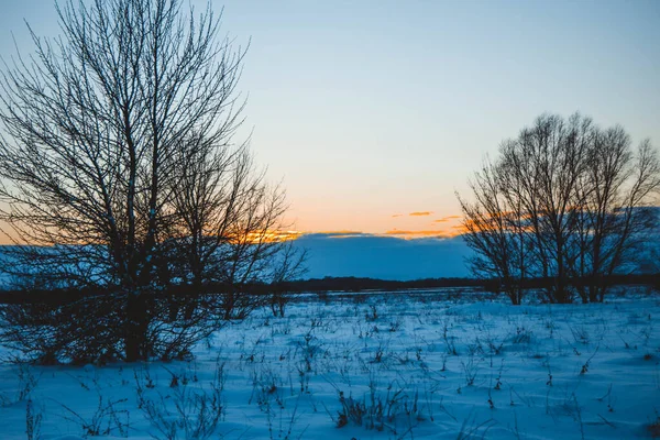 Beau Paysage Hivernal Coucher Soleil Avec Nuages Forêt Loin Champ — Photo