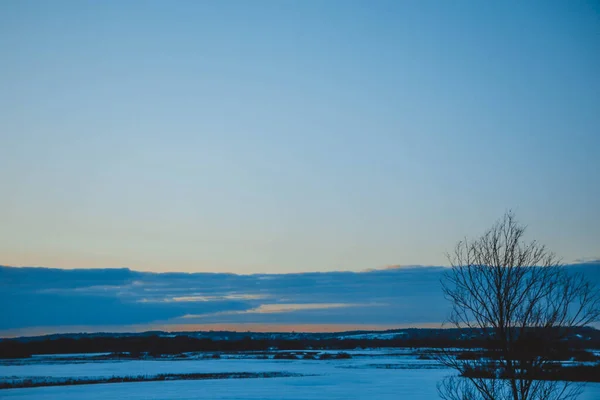 Bellissimo Paesaggio Invernale Tramonto Con Nuvole Foresta Lontananza Campo Alberi — Foto Stock