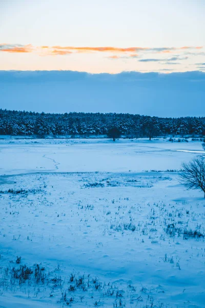 Güzel kış manzarası, bulutlu gün batımı, uzaktaki orman, kardaki tarla ve ağaçlar, dondurucu güneşli bir akşam, Ukrayna