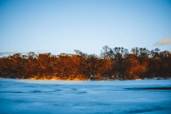 Zimní Les Řece Při Západu Slunce Barevná Krajina Zasněženými Stromy — Stock fotografie
