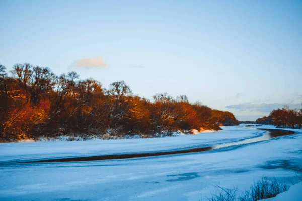 Bosque Invierno Río Atardecer Paisaje Colorido Con Árboles Nevados Hermoso —  Fotos de Stock