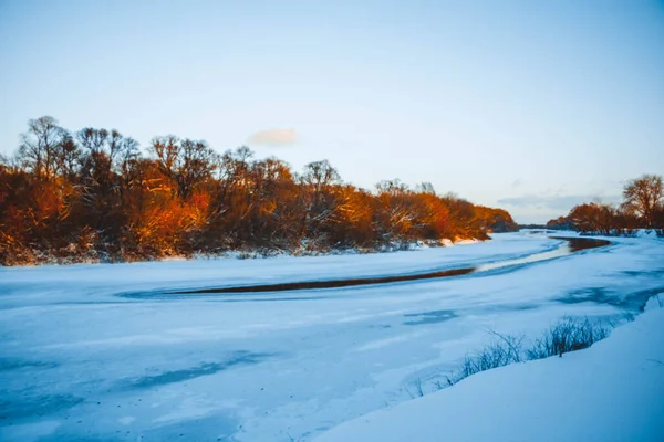 Gün batımında nehirde kış ormanı. Karlı ağaçlarla dolu renkli bir manzara, suda yansıması olan güzel donmuş bir nehir. Mevsimlik. Kış ağaçları, göl ve mavi gökyüzü. Buz gibi karlı nehir. Hava Durumu